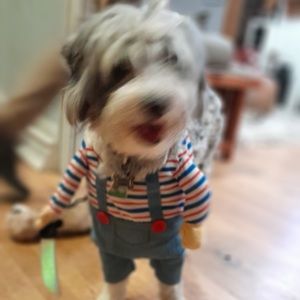 Meet your Posher, Rodney